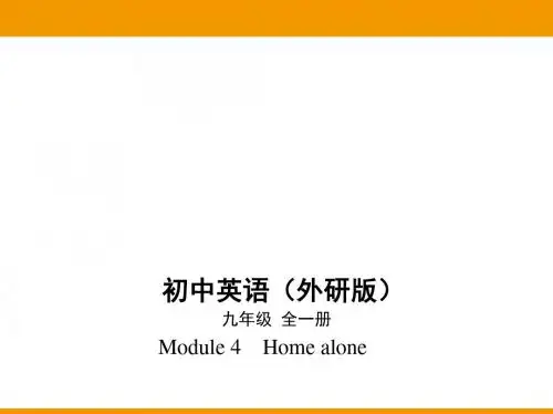 Module 4 Home alone