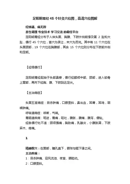 足阳明胃经45个针灸穴位图，高清穴位图解