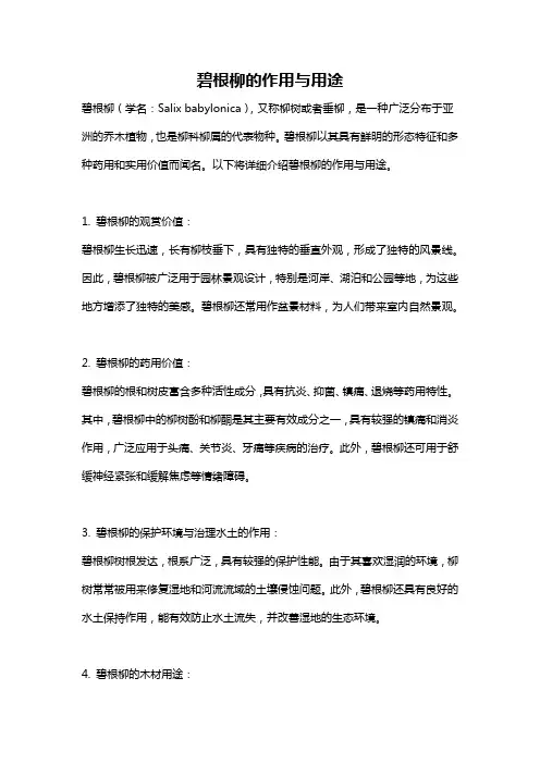 碧根柳的作用与用途