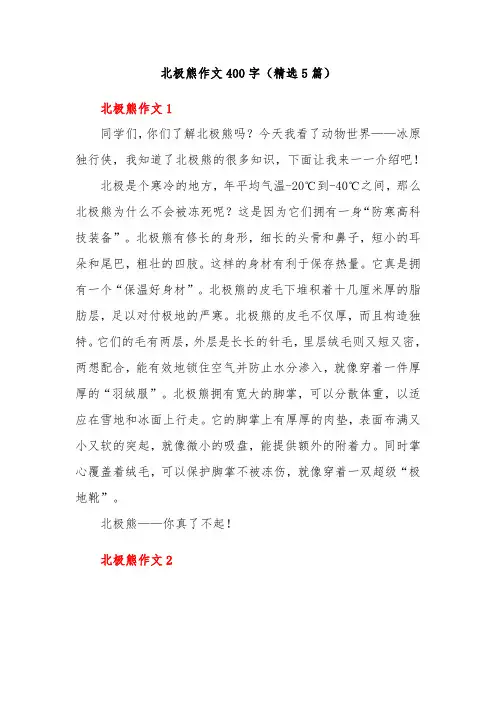 北极熊作文400字(精选5篇)