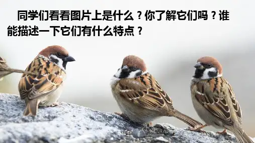 人教部编版小学四年级语文上册《麻雀》优质课件