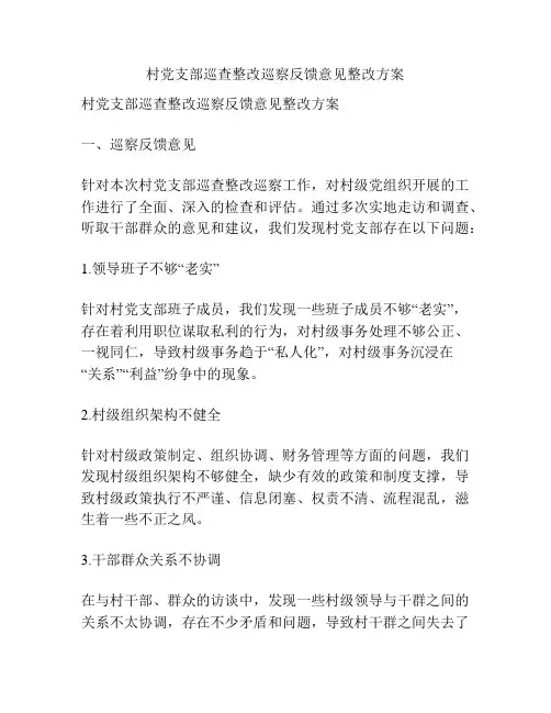 村党支部巡查整改巡察反馈意见整改方案