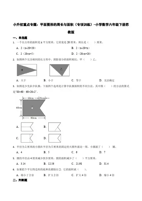 小升初重点专题：平面图形的周长与面积(易错专项)-小学数学六年级下册苏教版