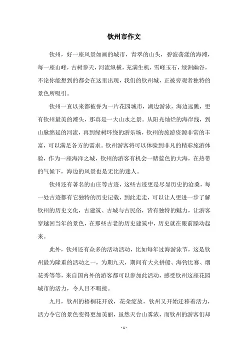 钦州市作文