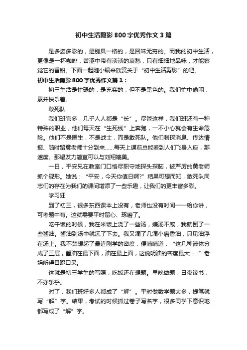 初中生活剪影800字优秀作文3篇