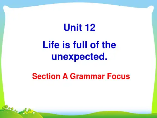 人教版英语九全Unit 12 Section A(Grammar Focus)课件(共34张PPT)