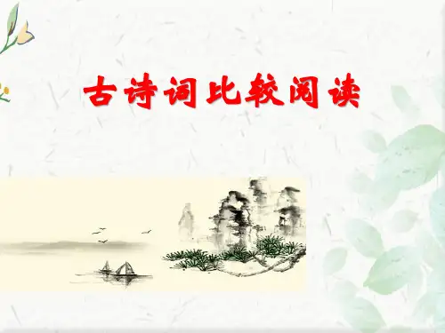 《古诗词比较阅读》复习教学课件(共23张PPT)