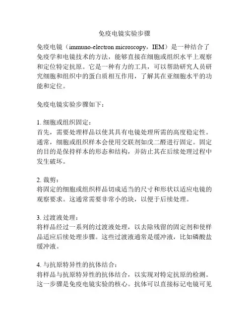 免疫电镜实验步骤