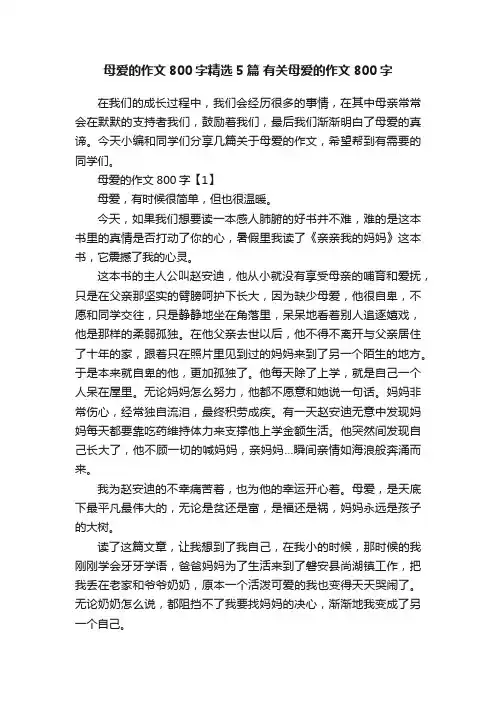 母爱的作文800字精选5篇有关母爱的作文800字