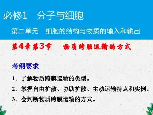 高三一轮复习生物课件：物质跨膜运输的方式 (共32张PPT)