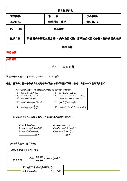 因式分解讲义精讲
