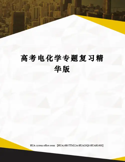 高考电化学专题复习精华版定稿版