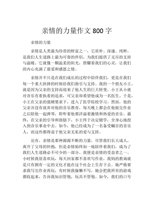 亲情的力量作文800字