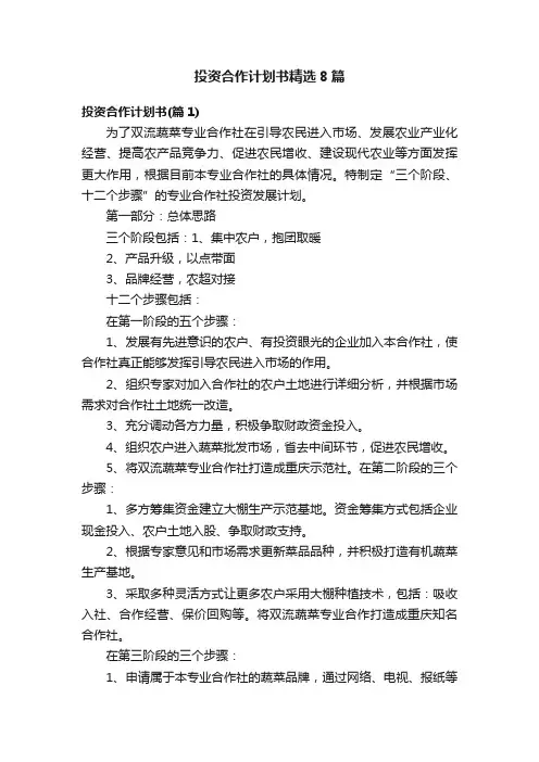 投资合作计划书精选8篇