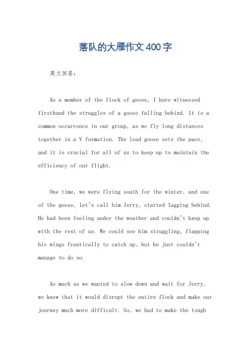 落队的大雁作文400字