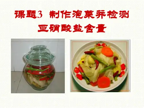 【实验】制作泡菜并测定亚硝酸盐含量的变化