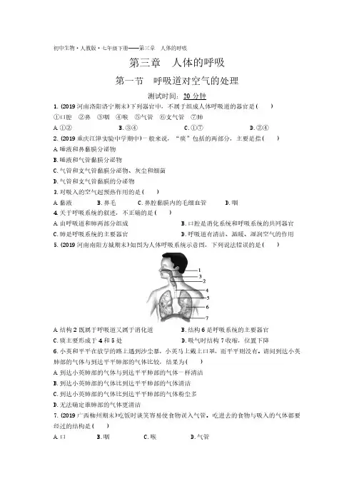 07-初中生物人教版七年级下册第四单元第三章第一节呼吸道对空气的处理