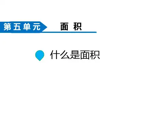 北师大版三年级数学下册《什么是面积》面积PPT精品课件