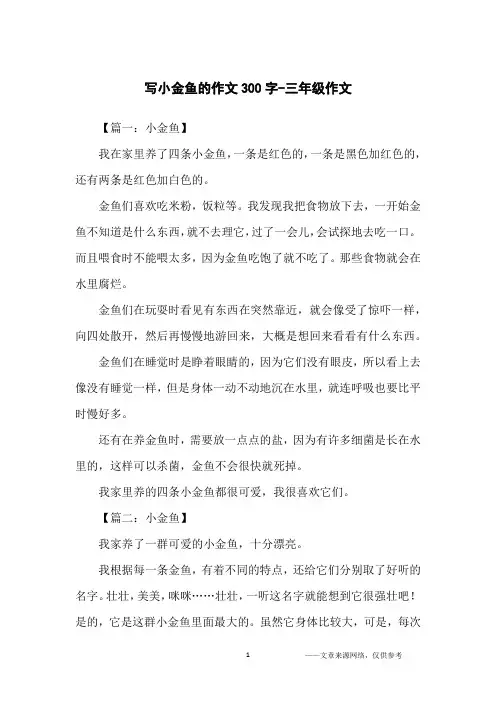 写小金鱼的作文300字-三年级作文