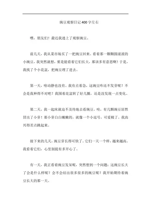 豌豆观察日记400字左右