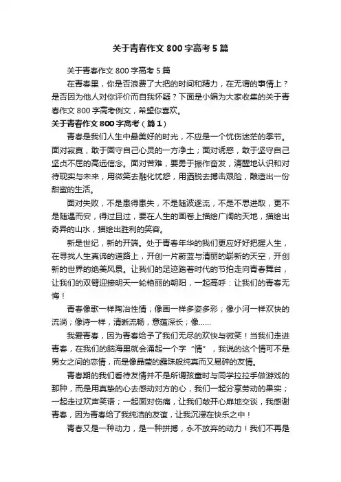 关于青春作文800字高考5篇
