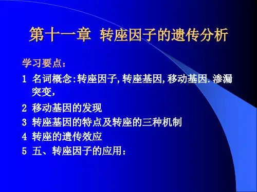 第十一章 转座因子的遗传分析