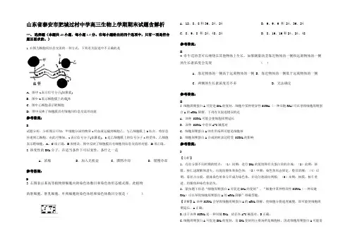 山东省泰安市肥城过村中学高三生物上学期期末试题含解析