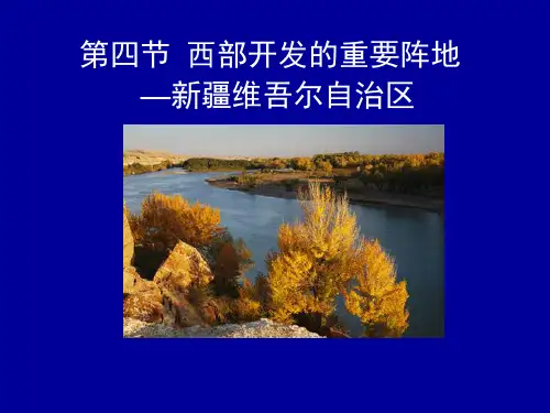 鲁教版地理七下6.4《西部开发的重要阵地--新疆维吾尔自治区》ppt课件1