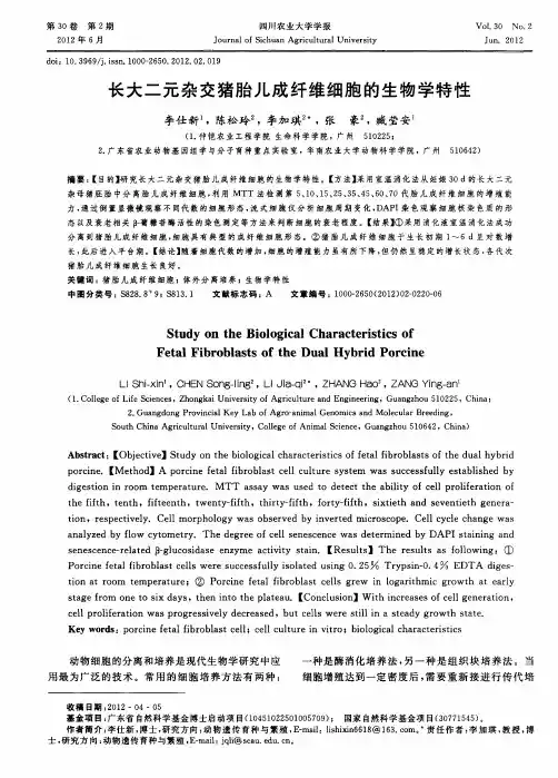 长大二元杂交猪胎儿成纤维细胞的生物学特性