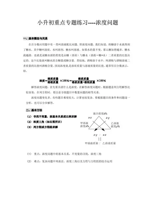 小升初重点专题练习：浓度问题（讲义）-六年级下册数学人教版