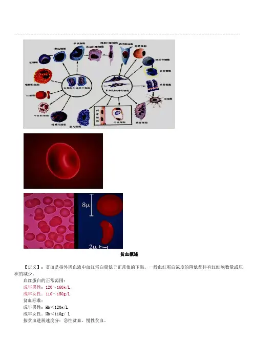 贫血Microsoft Word 文档