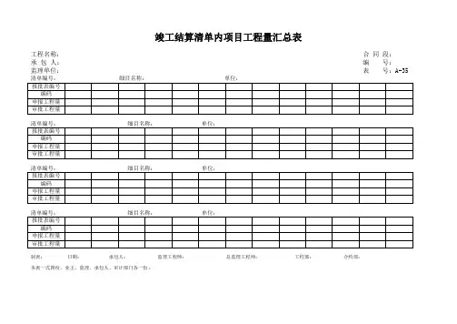 竣工结算清单内项目工程量汇总表