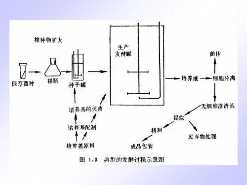 第四章微生物发酵动力学KineticsofMicrobialFermentation