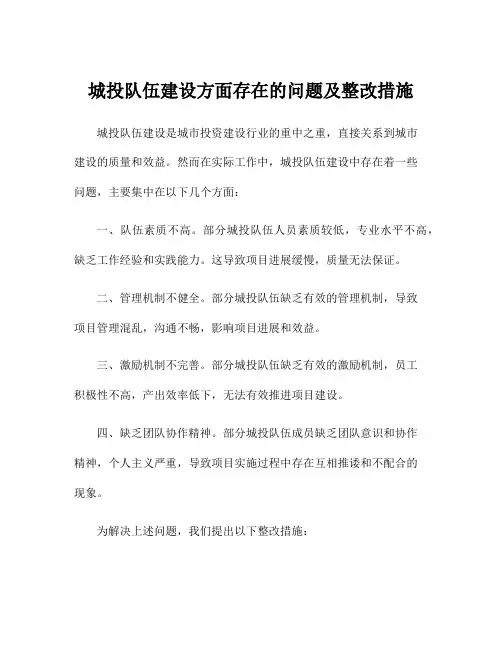 城投队伍建设方面存在的问题及整改措施