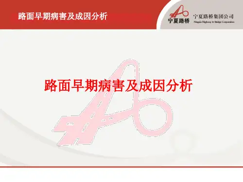 路面早期病害介绍