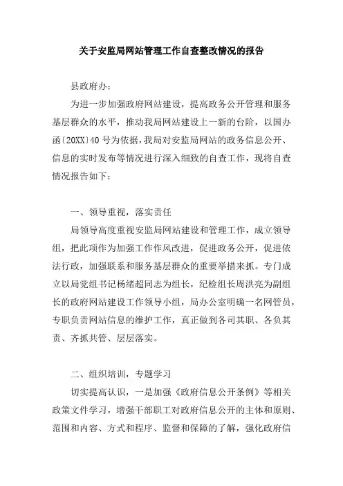 关于安监局网站管理工作自查整改情况的报告
