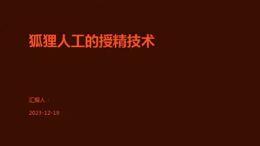 狐狸人工的授精技术