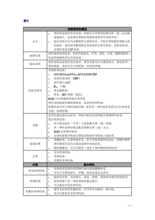 周围神经病变-潘