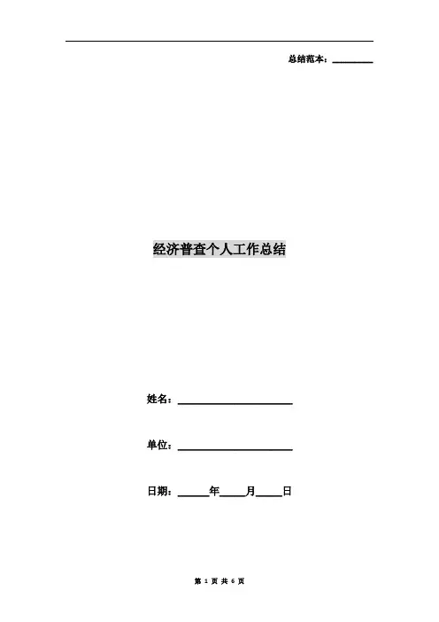 经济普查个人工作总结