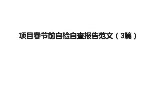 项目春节前自检自查报告范文(3篇).pptx