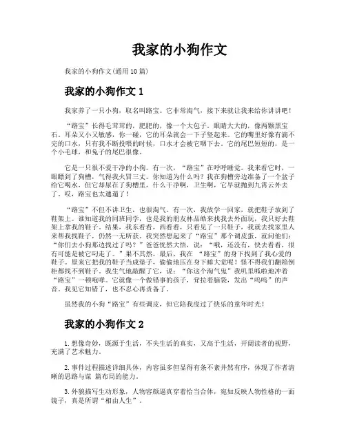 我家的小狗作文 2
