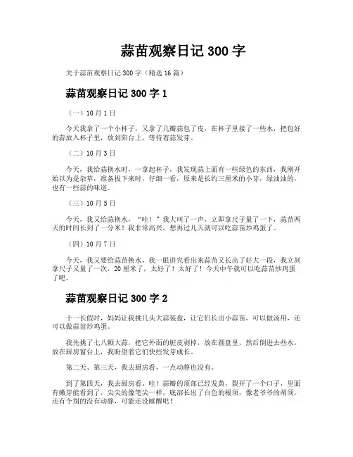 蒜苗观察日记300字