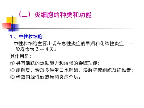 动物病理学 炎症(5.4.1)--炎细胞的种类和功能