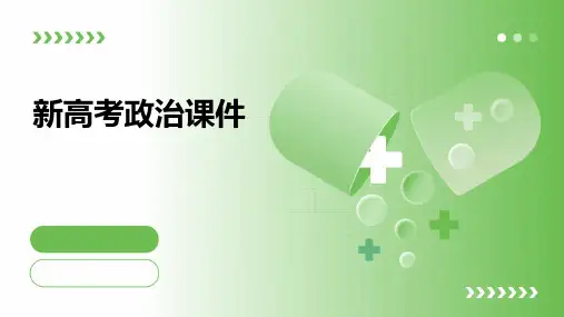 新高考政治课件ppt