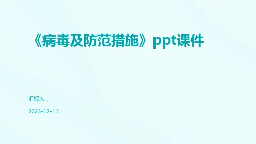 《病毒及防范措施》ppt课件
