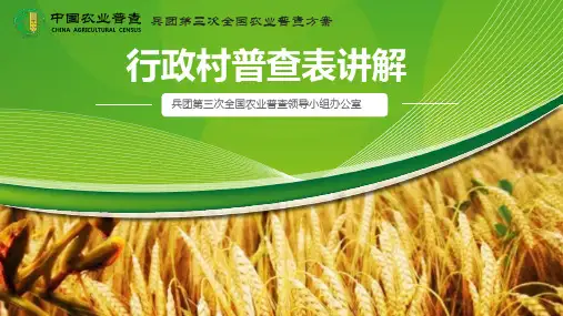 行政村表讲解
