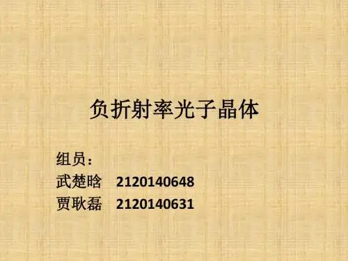 负折射率光子晶体1
