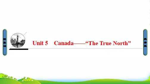 高中英语人教版必修三课件：Unit 5-Section Ⅰ