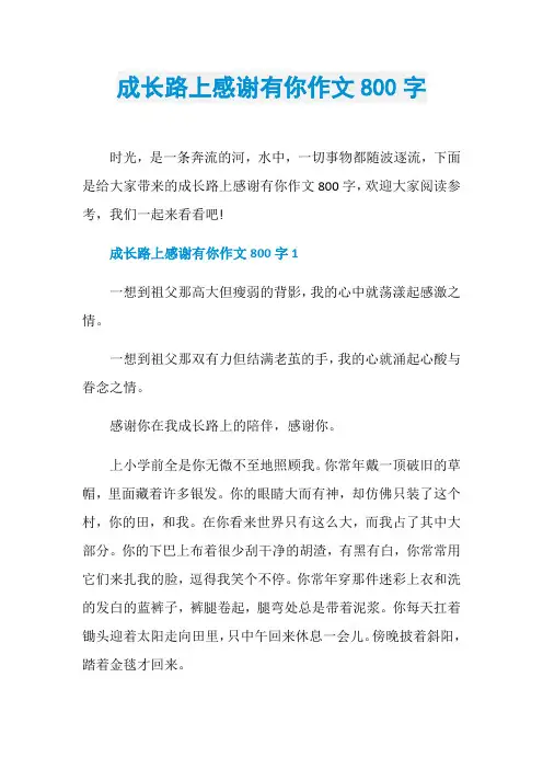 成长路上感谢有你作文800字