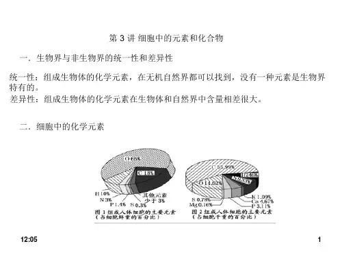 人教版 届高三生物 第二章细胞中的元素和化合物一轮复习课件( 共11张PPT)